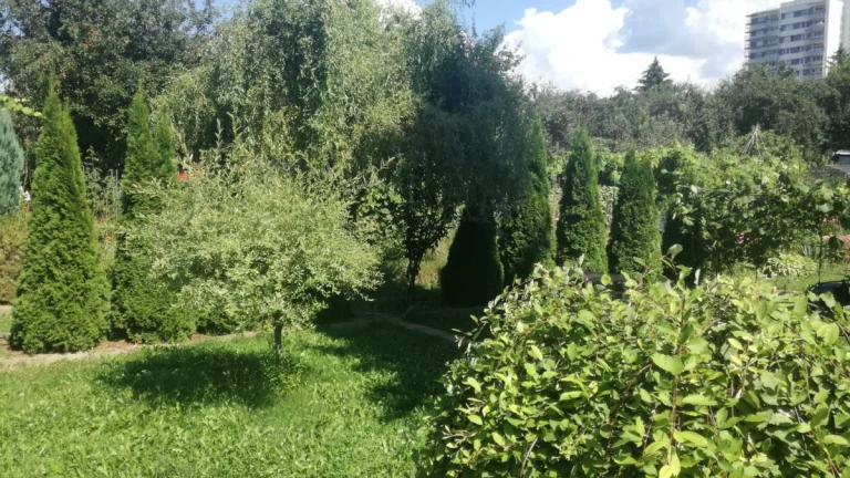 Zahrada s chatkou - Osada č.5