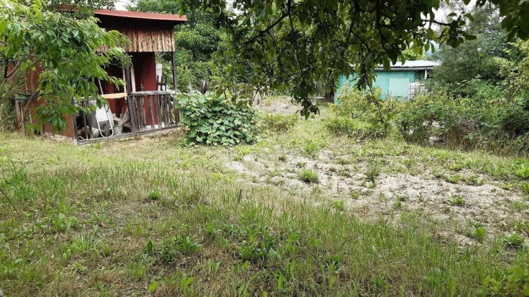 Zahradka s chatkou na prenajom