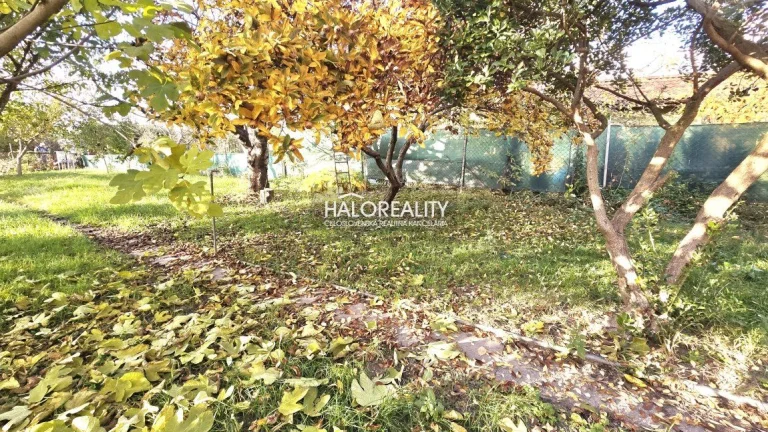 HALO reality - REZERVOVANÉ (prihláste sa na čakaciu listinu)