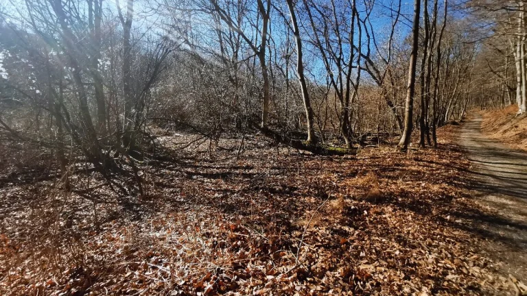 Predám ZÁHRADU 12.214 m2 v obci Košariská - Priepasné