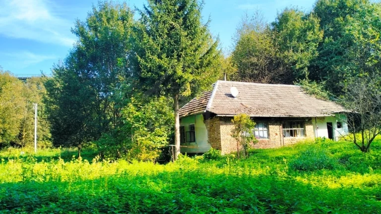 Dom v pôvodnom stave s veľkým pozemkom na polosamote Stare