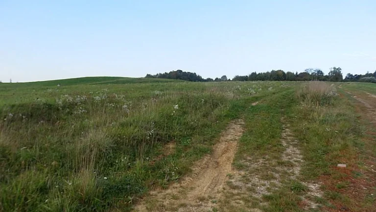 Na predaj veľký inv. pozemok vo Sverepci pri Pov. Bystrici