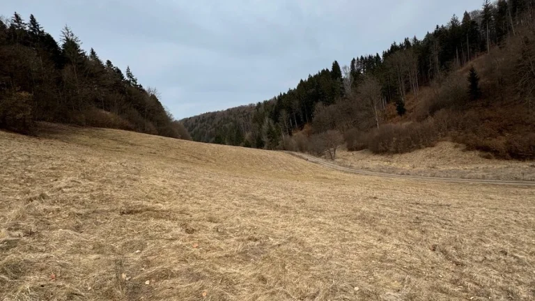 Predám pozemok Slovenska Lupča