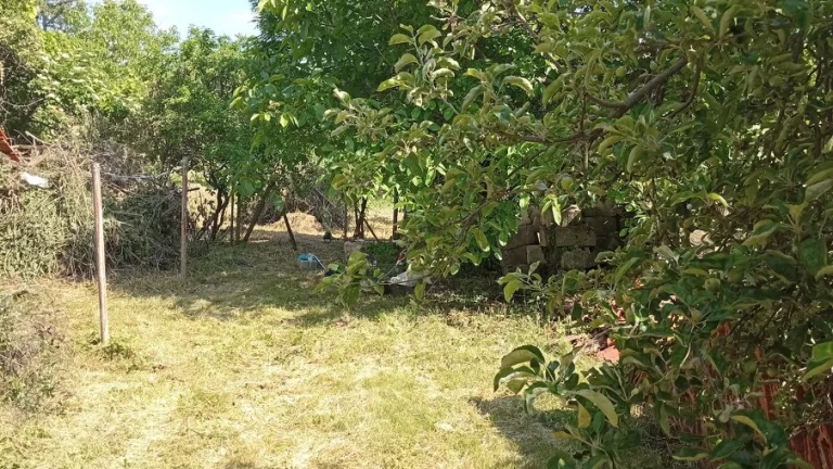 Ponukam na predaj pozemok so starym domom