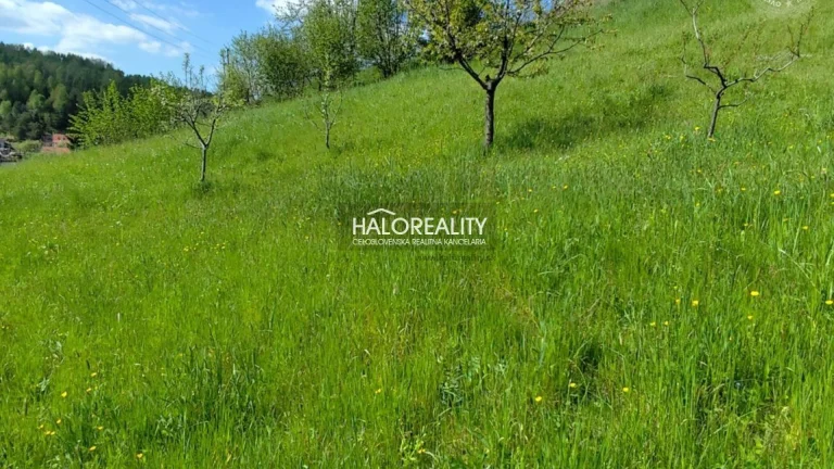 HALO reality - Predaj, rekreačný pozemok Banská Belá - EXKLU