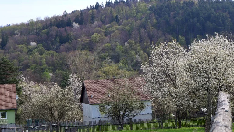 ZNÍŽENÁ CENA Priestranný rodinný dom so záhradou v príjem