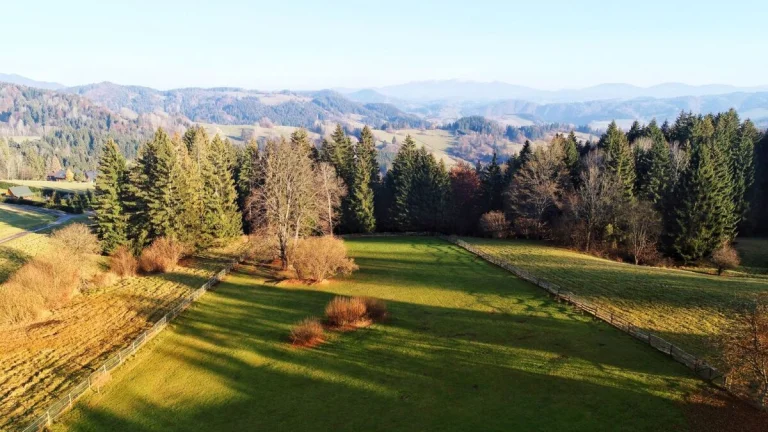 Pozemky I Kubínska hoľa I 770 m² - 794 m²