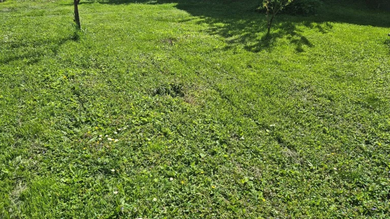 Stavebný pozemok na predaj v Nových Zámkoch.