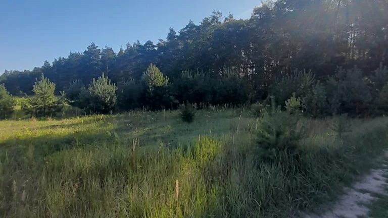 Działki budowlane 600m2, Józefów, pod lasem