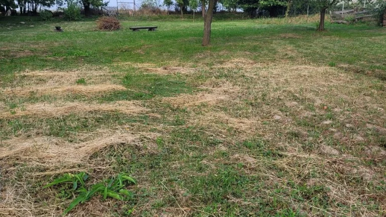Stavební pozemek Bystřice p. H., Sovadina