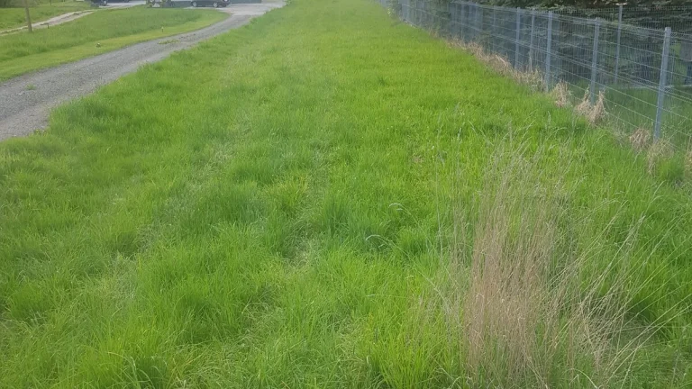 Sprzedam dzialke w szaflarach 1400 m2 350 tysiecy