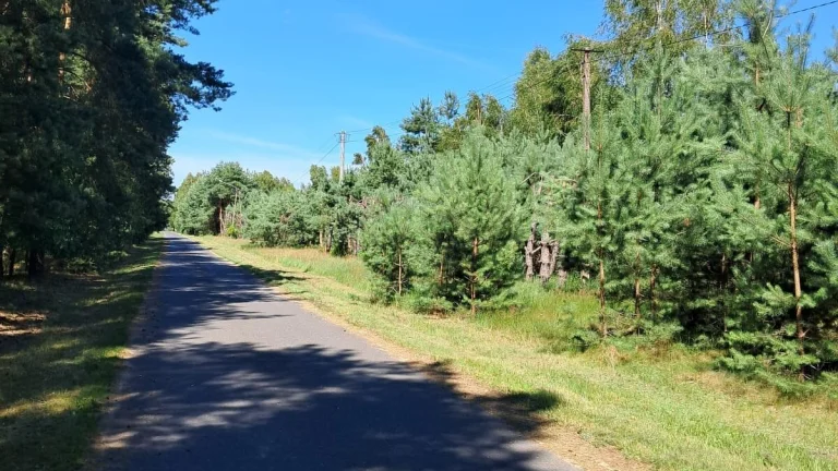 Działki budowlane o powierzchni 1253m2-1686m2, Prażuchy Nowe