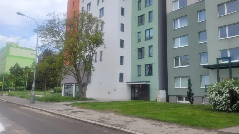 Pronájem bytu 4+KK v moderní novostavbě s garáží, Bachova 24