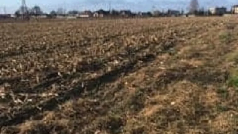 Działka budowlana 1500 m2, Wojciechówka