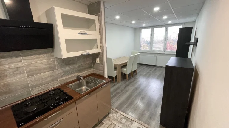 Prodej investičního bytu 2kk (42m2)