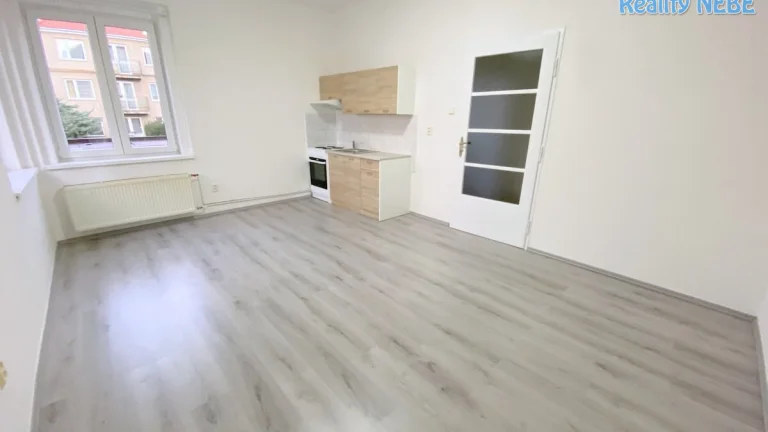Pronájem bytu 1+kk, 25m2, Na Úlehli Praha 4 Kačerov