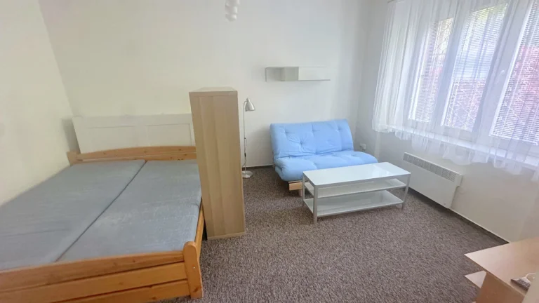 Pronájem bytu 2+kk 40m Kubišova Praha Libeň