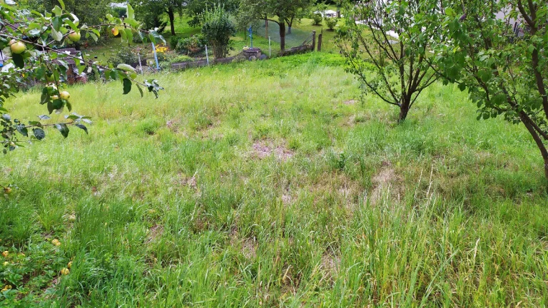 Prodej stavebního pozemku 828 m² v Dlouhomilově