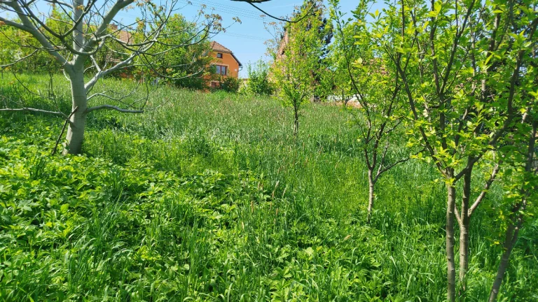 Stavební pozemek v čisté přírodě Lubná u Kroměříže 842 m²