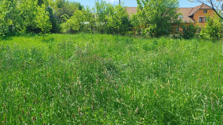 Stavební pozemek 842 m² v čisté přírodě Lubná u Kroměříže