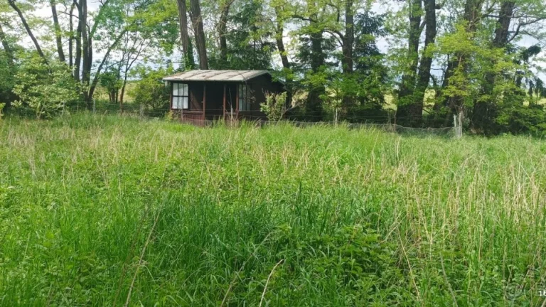 Pronájem zahrady 400 m2