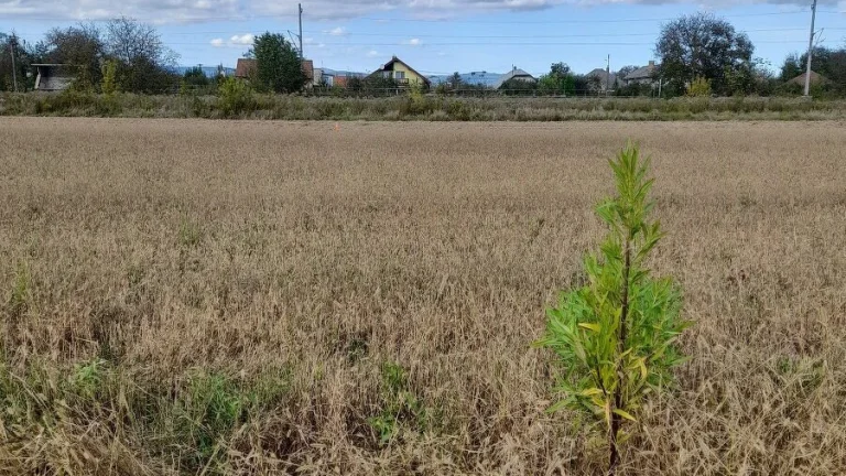 Záhrada Mokrance