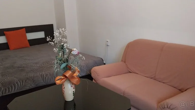 Prenajmem 1-izbový byt v Senici