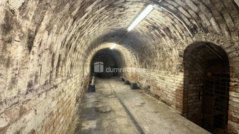 Vinný sklep s projektem, Čejkovice
