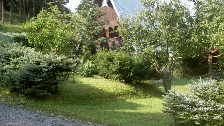 Predáme chatku v Divine s pozemkom o výmere 439 m2