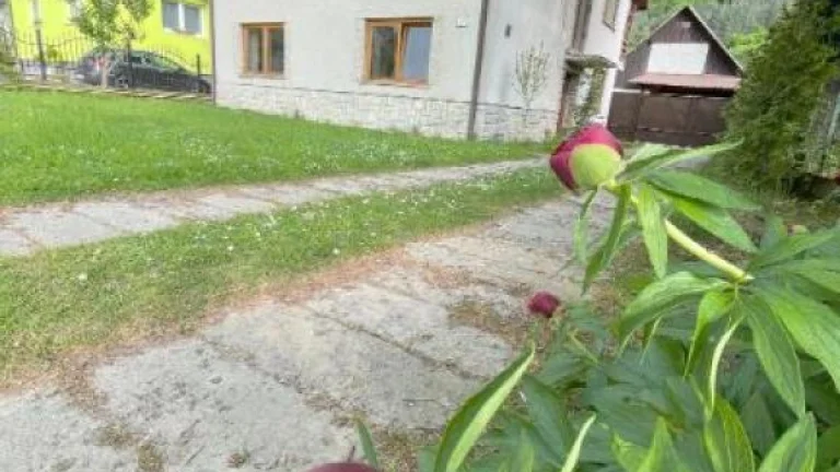 Predaj- rodinny dom - Hrachoviste