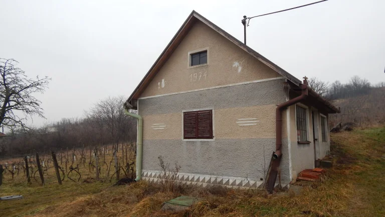 Na predaj viničný domček s vinicami , pivnicou v Strekove .