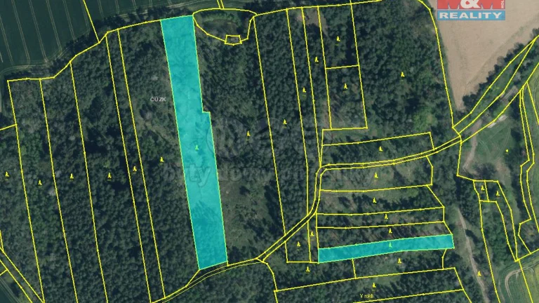 Prodej lesa, 10323 m², Hlohovčice