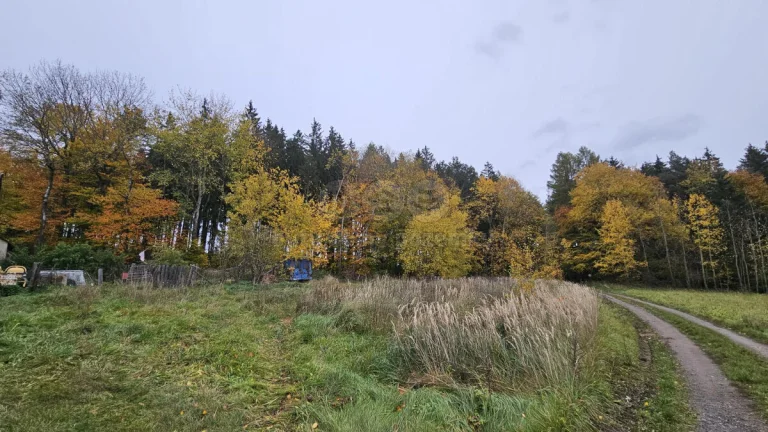 Prodej louky, 922 m², Hynčina