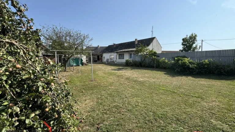 Prodej, domy/rodinný, 300 m2, 67165 Břežany, Znojmo [ID 7041