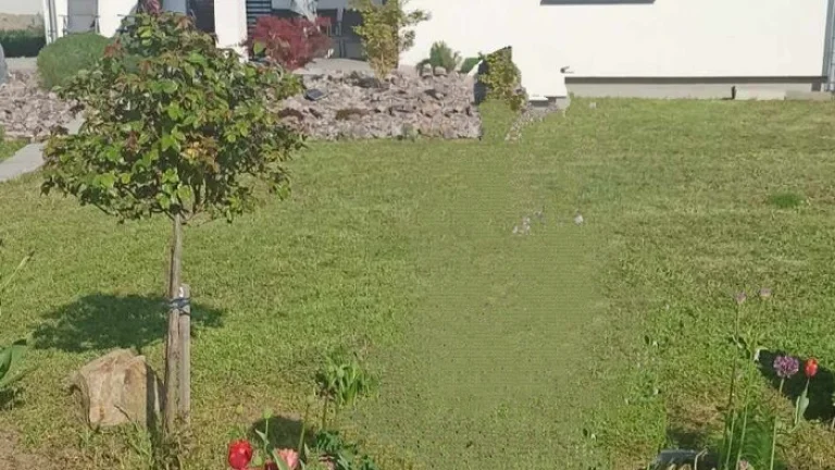Pronájem krásného domu - Vrbovec okr. Znojmo