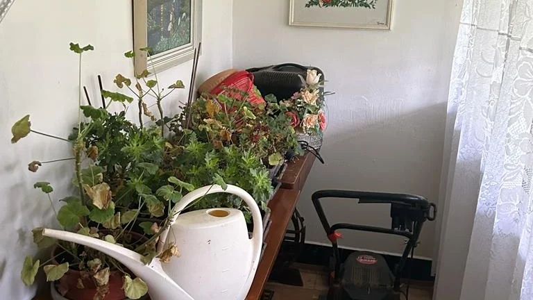 Rodinný dom v Strážskom, cena: 99.900,- eur