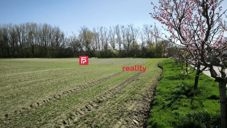 INVESTIČNÁ PRÍLEŽITOSŤ – Pozemok 9 202 m² na okraji obce