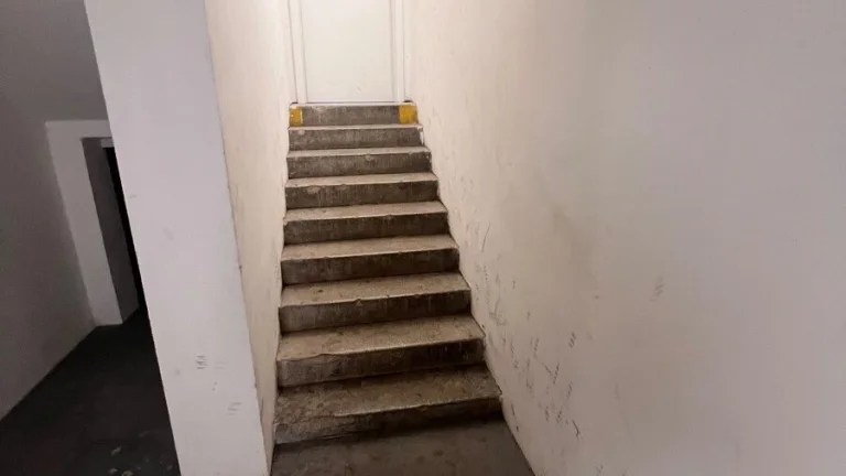 Sklad / Ateliér - Pronájem - 30m2