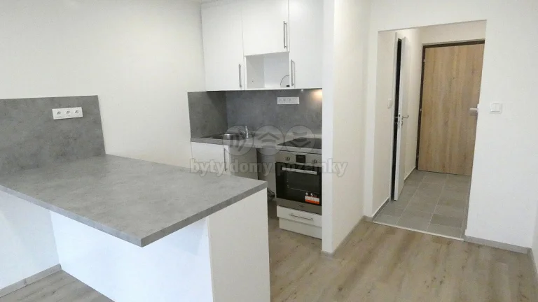 Prodej bytu 1+kk, 31 m², Ostrava, ul. Petruškova