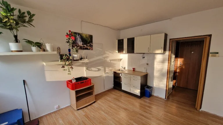 Pronájem bytu 1kk - Záhumenní 1151