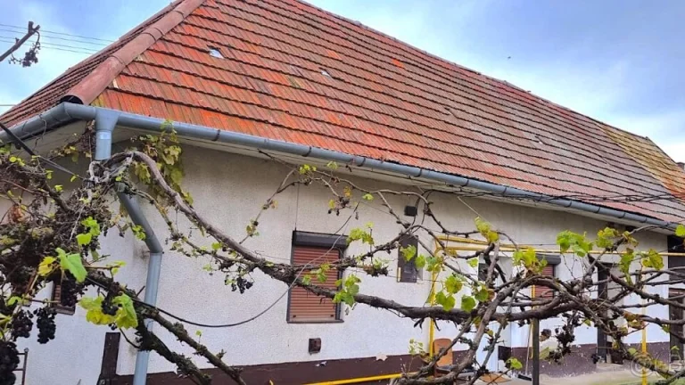 Rodinný dom- chata
