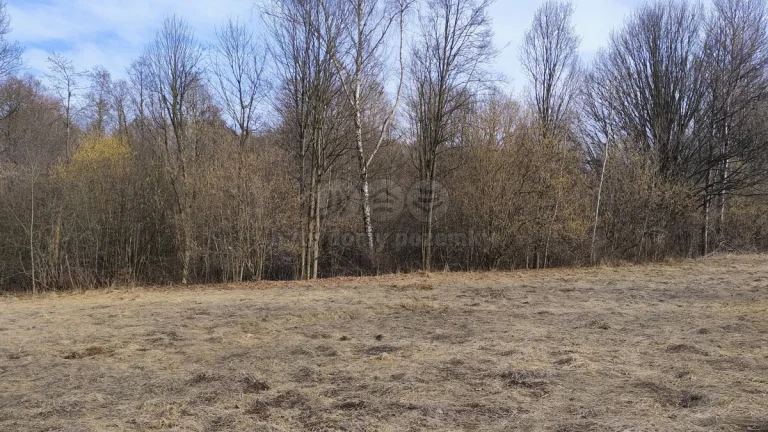 Prodej pozemku k bydlení, 1920 m², Dolní Moravice