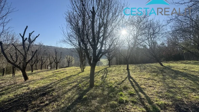 Prodej stavebního pozemku, 4380 m2 - Suchov, ev.č. 01043