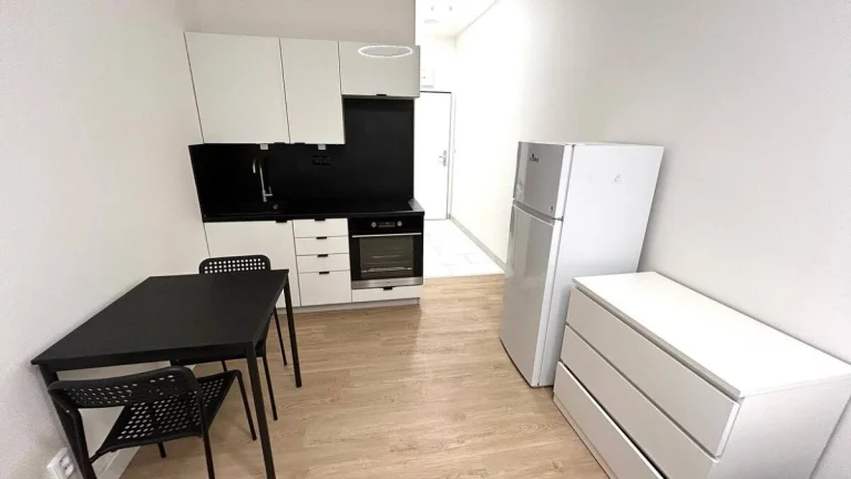 krásný byt 1+kk, 26m2 v ul. Poděbradská, Praha 9 - Vysočany
