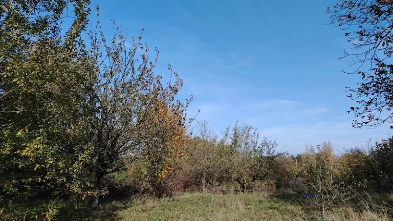 Stavební pozemek 907 m2 v obci Loukovec, okr. Mladá Boleslav