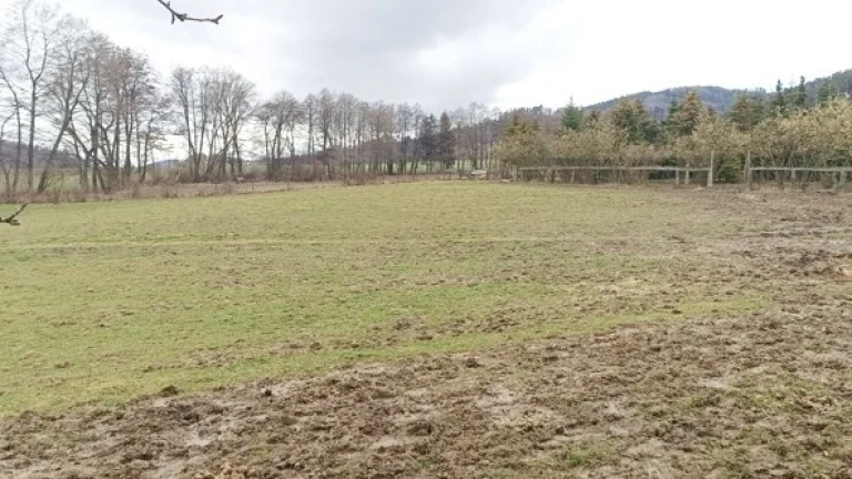 Oplocený pozemek 11.000m2 + maringotka, pro koně, atd.