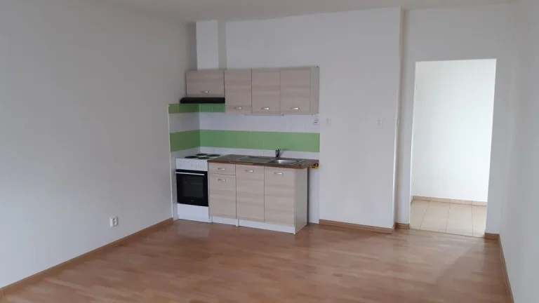 Pronájem pěkného bytu 1+KK v ul. Krajinská