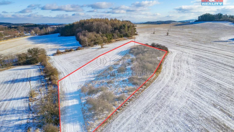 Prodej louky, 6006 m², Lešetice