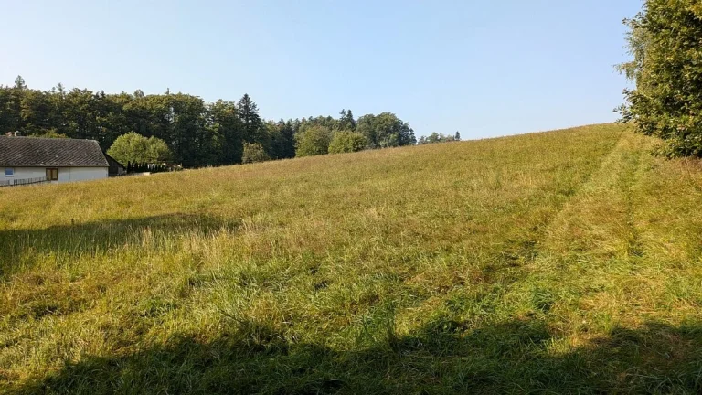 Prodej stavebního pozemku 7990 m² Nové Lublice