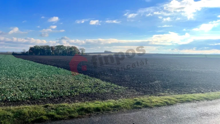 Prodej pozemku v Přezleticích - 6499 m2